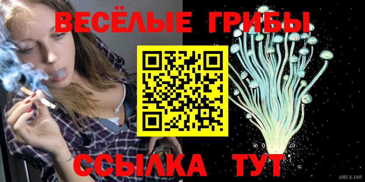 Галлюциногенные грибы GOLDEN TEACHER Дальнереченск