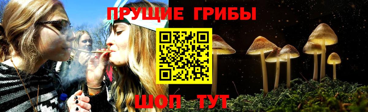 Псилоцибиновые грибы прущие грибы  цена наркотик  Дальнереченск  Вход с VPN 